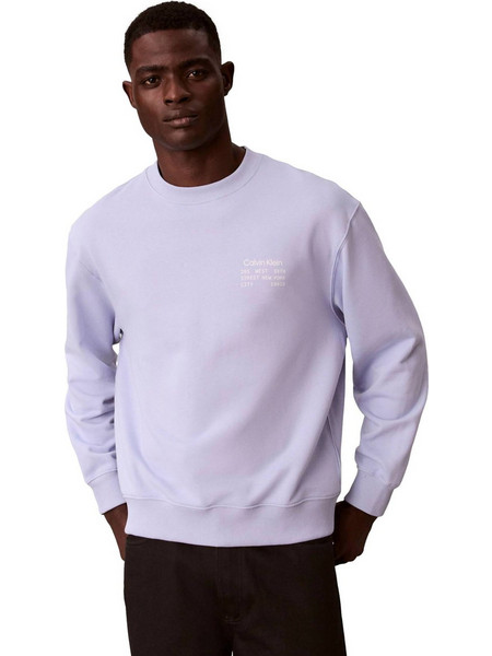 Calvin Klein Ανδρικό Φούτερ Λιλά LV04RE254G-TKF