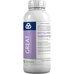 Emphyton Nutri Great Υγρό Διαφυλλικό Λίπασμα Βορίου Ασβεστίου 1lt