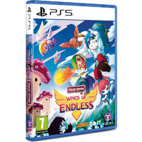PS5 Games JanduSoft