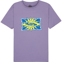Quiksilver Παιδικό T-Shirt Κοντομάνικο Λιλά EQBZT04951-PKS0