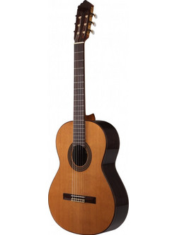 Prodipe Soloist 500 EQ APA2025-00418