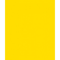Canson Colorline Χαρτόνι Κανσόν Κίτρινο 50x70cm 105741131