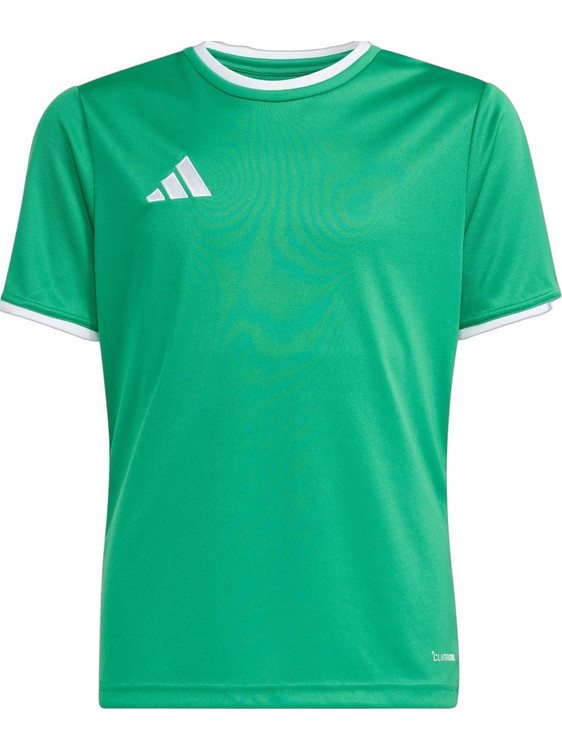 Adidas Entrada 26 Παιδικό T-Shirt Κοντομάνικο Πράσινο JZ2528