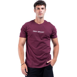GSA Sport Logo Ανδρικό Αθλητικό T-Shirt Μπορντό 281401-17