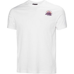 Helly Hansen Core Graphic 2.0 Ανδρικό Αθλητικό T-Shirt Λευκό 54599-596