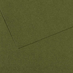 Canson Mi-Teintes Χαρτόνι Κανσόν Χακί 21x29.7cm 105320448