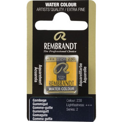Royal Talens Rembrandt 238 Gamboge Νερομπογιά 05862381