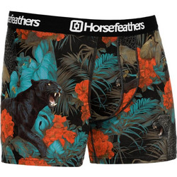 Horsefeathers Ανδρικό Μποξεράκι Πολύχρωμο AM164W