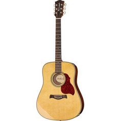 Richwood Guitars Master Series D-65 Vintage Aged