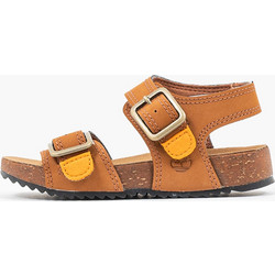 Timberland Παιδικά Πέδιλα για Αγόρι Καφέ TB0A434HF13