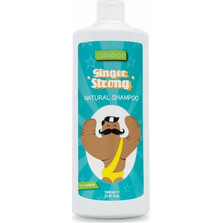 Valquer Ginger Strong Σαμπουάν για Επανόρθωση 1lt