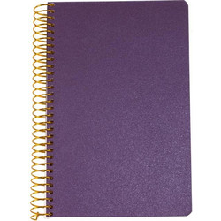 LOGIGRAF ΤΕΤΡΑΔΙΟ ΣΗΜΕΙΩΣΕΩΝ NOTES LOGINOTES SPIRAL LINE 13x20 METALLIZE