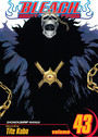 Bleach, Vol. 43 Bleach, Vol. 43
