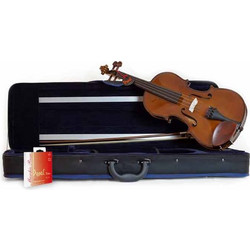 Domus Allievo 1 4/4 & Case