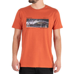 Graphic Print T-Shirt DOUBLE TS-198 Πορτοκαλί