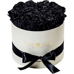 Forever Roses Μαύρο Deluxe 19x20cm 14 τριαντάφυλλα