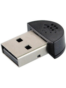 Mini USB Microphone