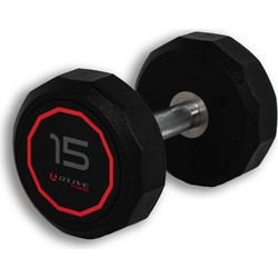 Real Motion Pro-Style 362 55079 Αλτήρας 15kg