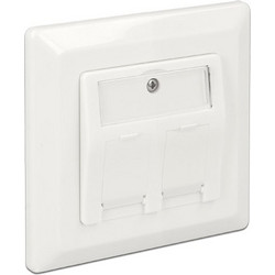 Delock Keystone Wall Outlet 2 port 86202