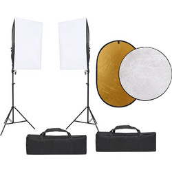 vidaXL 3094764 Kit με Φόντο Ανακλαστήρες & Soft Box