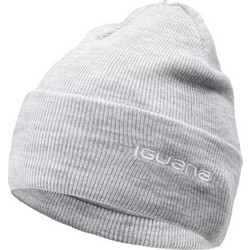 Iguana Lea Beanie Γυναικείος Σκούφος με Rib Πλέξη σε Γκρι χρώμα 92800337317