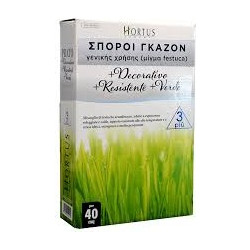 Γκαζόν Festuca Arudinacea (κλασσικό) 25Kg