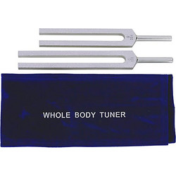 Θεραπευτικά Όργανα Διαπασών Συντονισμού Whole Body Tuning Fork C256Hz & G384Hz