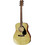 Yamaha F-310P Natural Bundle