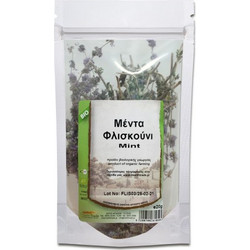 Health Trade Μέντα Φλισκούνι 20gr