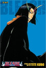 Bleach (3‑in‑1 Edition), Vol. 13
