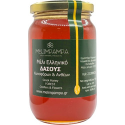 ΜΕΛΙ ΔΑΣΟΥΣ 450gr