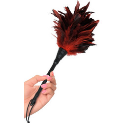 Frisky Feather Duster