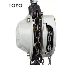 Παλάγκο αλυσίδας TOYO 2 τόνων - 5 μέτρα αλυσίδα PROFI