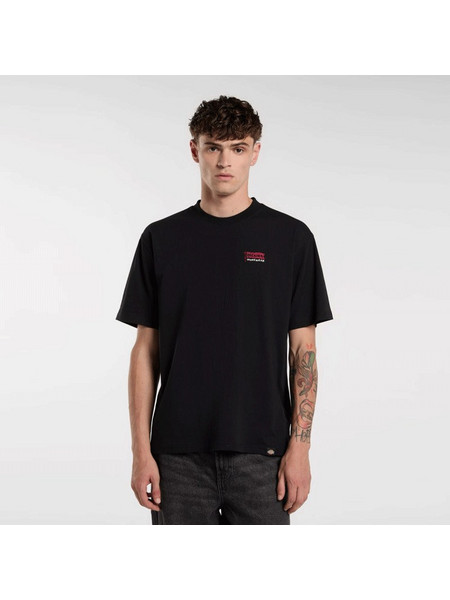 Dickies Flag T-Shirt Ανδρικό (DK0A87QDBLK1) Μαύρο