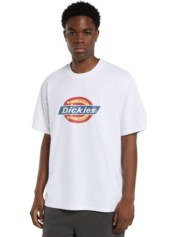 Dickies T-shirt Dickies Icon DK0A88FG0WH1/White