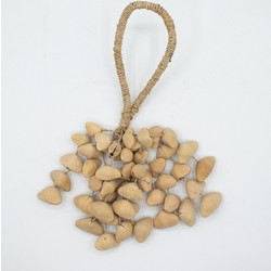 Kenari Shell Long Rattle (50 Shells)