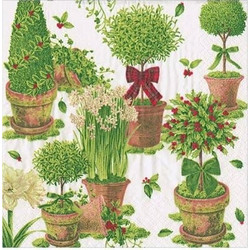 Xαρτοπετσέτες Cocktail Winter Topiaries 12.5x12.5cm Caspari (20 Tεμάχια)