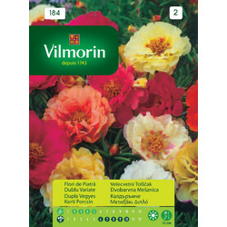 VILMORIN ΣΠΟΡΟΙ(184)ΜΕΤΑΞΑΚΙ ΔΙΠΛΟ
