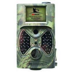 Braun Phototechnik Black 300