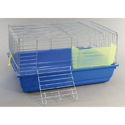Domus Molinari Cavia 3 Cromo Κλουβί για Κουνέλια Μπλε 60x40x34cm