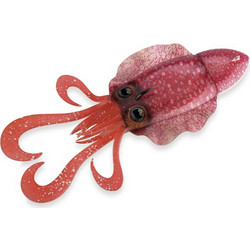 Akami Sepiade Τεχνητό Δόλωμα Φωσφοριζέ 18.5cm 170gr Red Shrimp