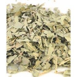 Divinum Ευκάλυπτος 30gr