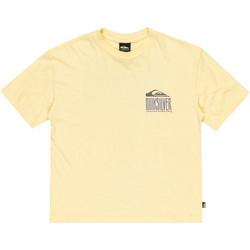 Quiksilver Παιδικό T-Shirt Κοντομάνικο Κίτρινο EQBZT04828-YEM0