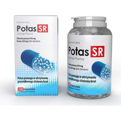 Activlab Potas SR 100 Κάψουλες