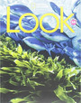 LOOK 3 Combo Split A