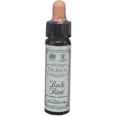 Ainsworths Dr.Bach Rock Rose Ανθοΐαμα σε Σταγόνες για Άγχος 10ml