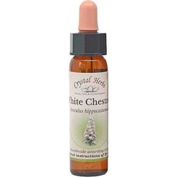 Crystal Herbs White Chestnut Ανθοΐαμα σε Σταγόνες για Πνευματική Διαύγεια & Συγκέντρωση 10ml
