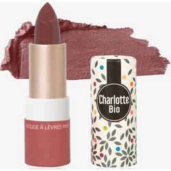 Charlotte Bio Pinky Red Long Lasting Matte Κραγιόν Stick 3.5gr