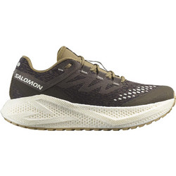 Salomon Aero Glide 3 Ανδρικά Αθλητικά Παπούτσια για Τρέξιμο Ανθρακί L47869700