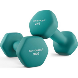 Songmics SNGSYL906Q01 Σετ Βαράκια Εξάγωνα 2x3kg